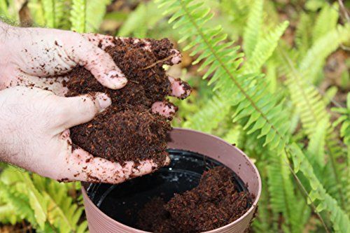 How to Mix Coconut Fiber with Soil