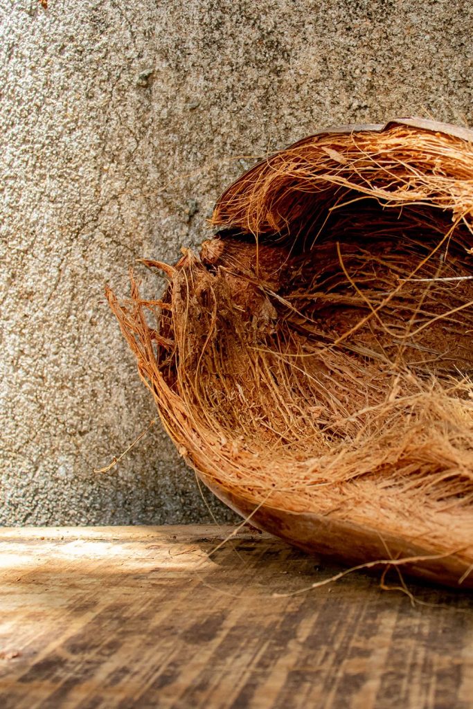 Coconut Fiber: Definition, Types, Uses and Properties of coconut fiber