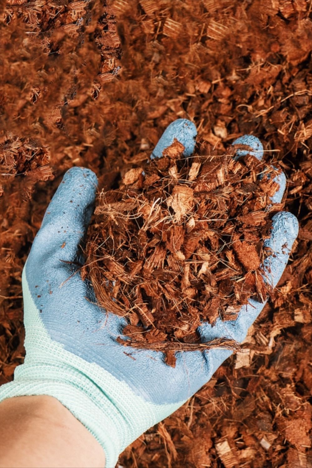 How to Mix Coconut Fiber with Soil for Highly Effective