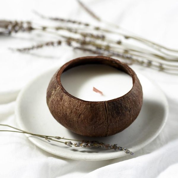 Coconut Candle - Small - Milk scent