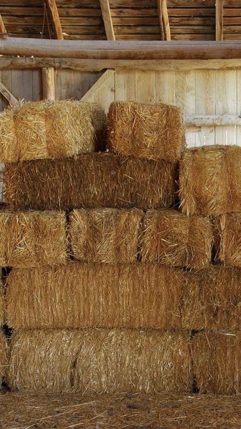 Coconut fiber rugs - A highly popular product that many people adore nowadays. 